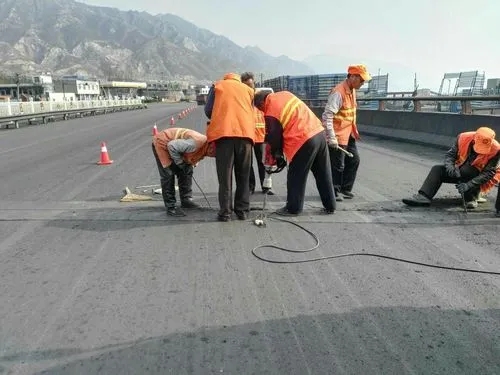 徽州道路桥梁病害治理